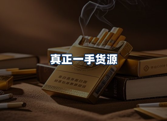 专业团队办公环境